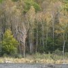 SAM_1634 Acadia beaver pond